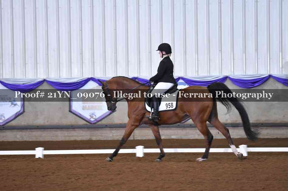 Proof 21YN_09076