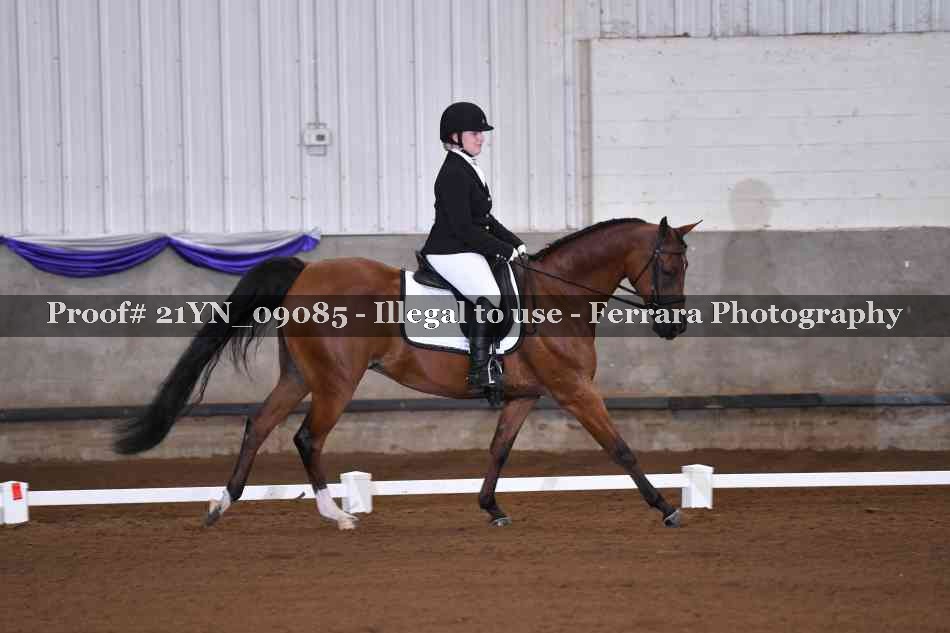 Proof 21YN_09085
