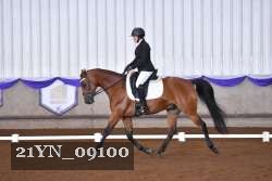 21YN_09100 proof