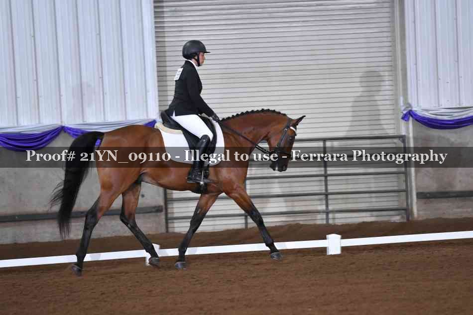 Proof 21YN_09110