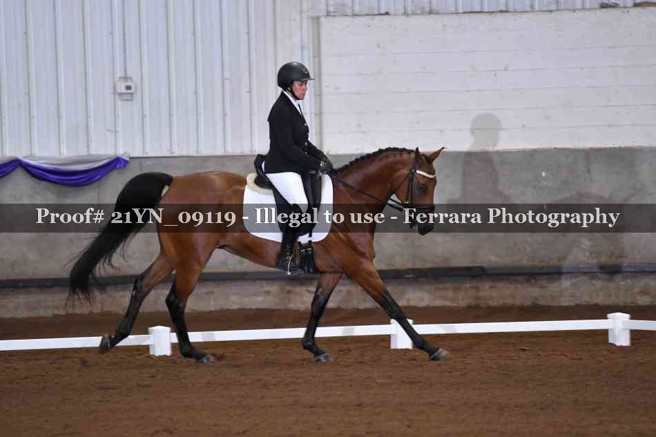 Proof 21YN_09119