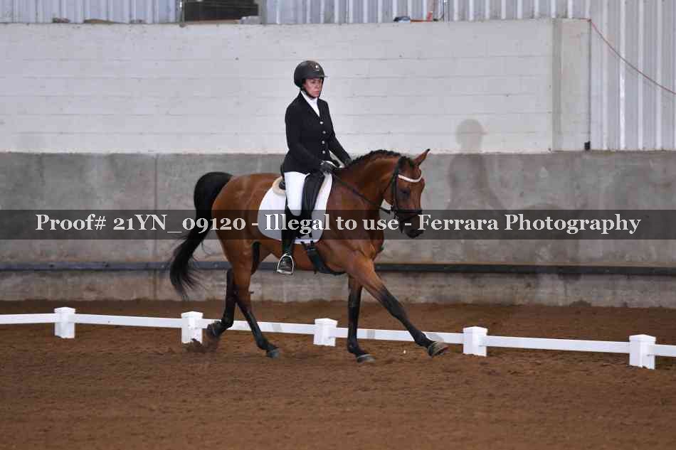 Proof 21YN_09120