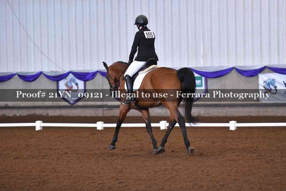 Proof 21YN_09121