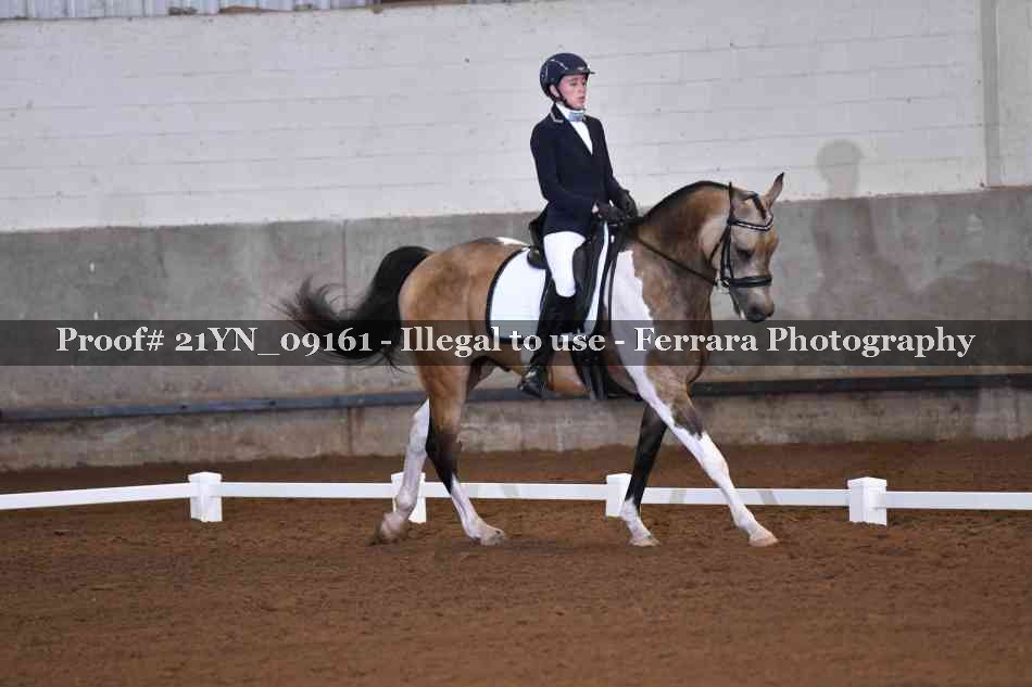 Proof 21YN_09161