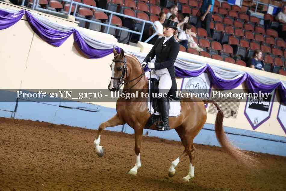 Proof 21YN_31716