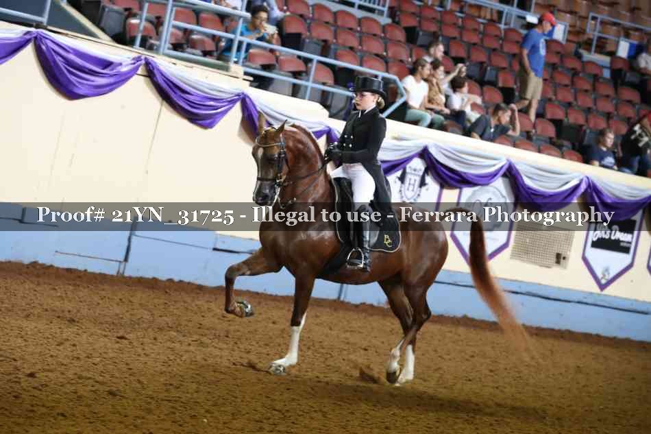 Proof 21YN_31725