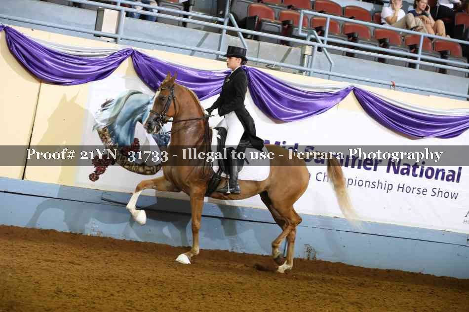 Proof 21YN_31733