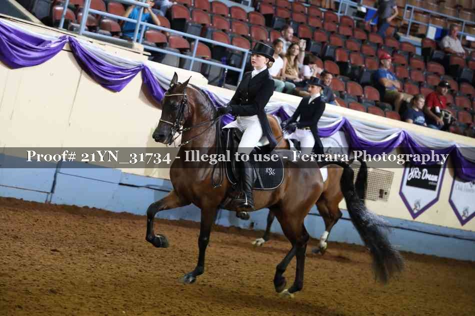 Proof 21YN_31734