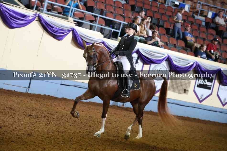 Proof 21YN_31737