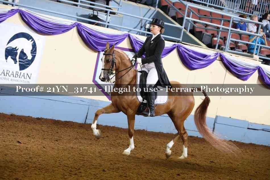 Proof 21YN_31741