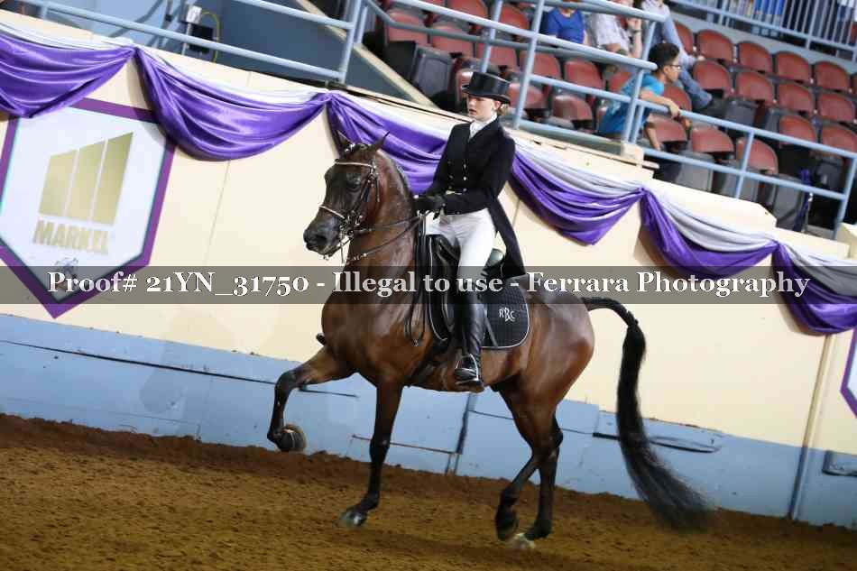 Proof 21YN_31750