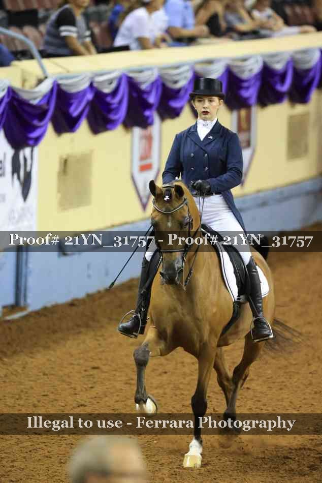 Proof 21YN_31757