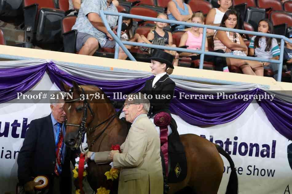 Proof 21YN_31781