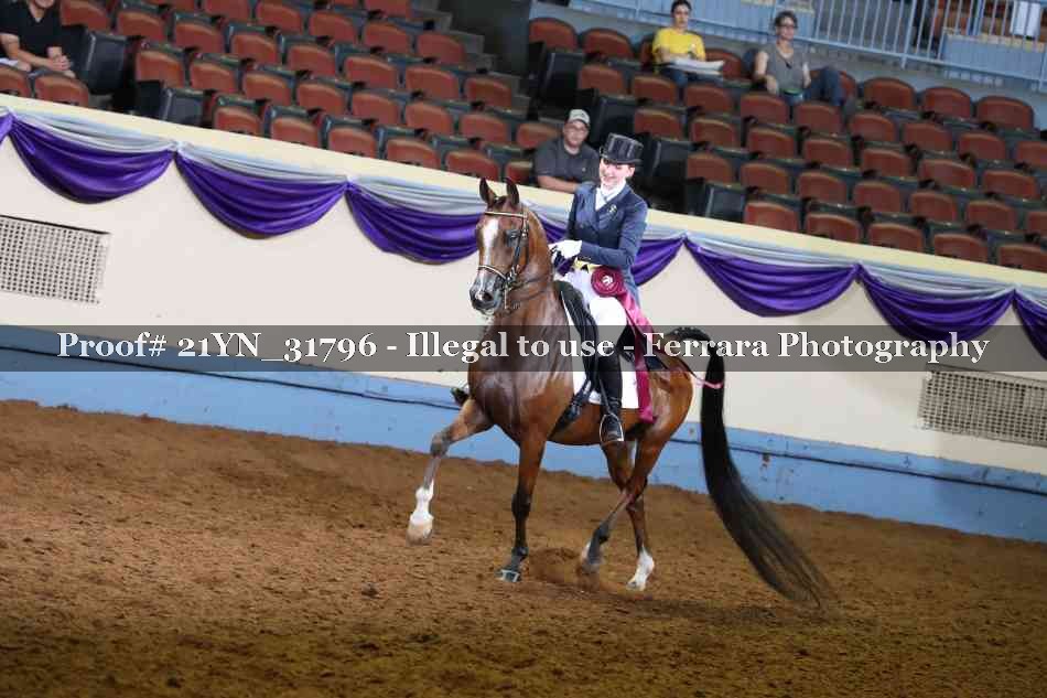 Proof 21YN_31796