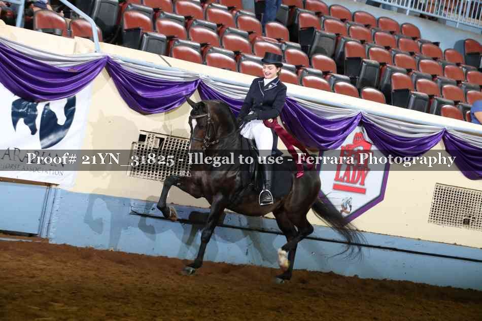 Proof 21YN_31825