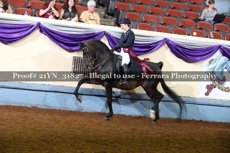 Proof 21YN_31827