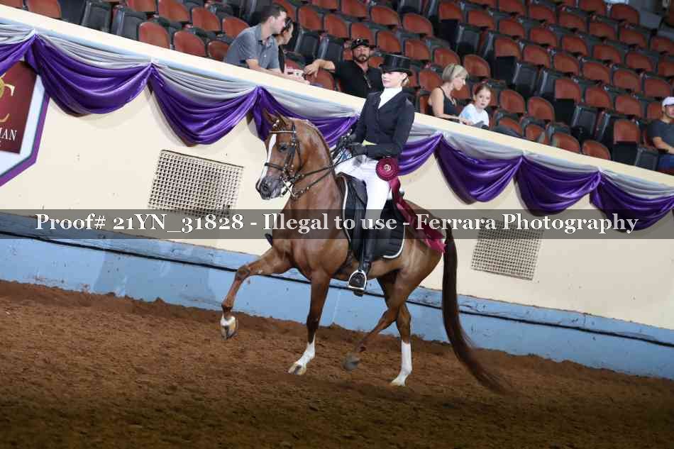 Proof 21YN_31828
