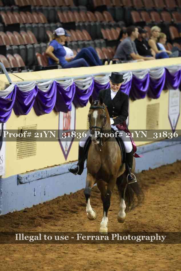 Proof 21YN_31836