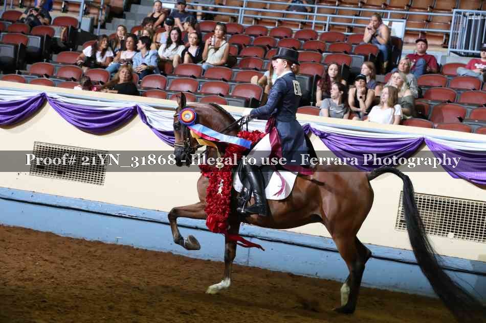 Proof 21YN_31868
