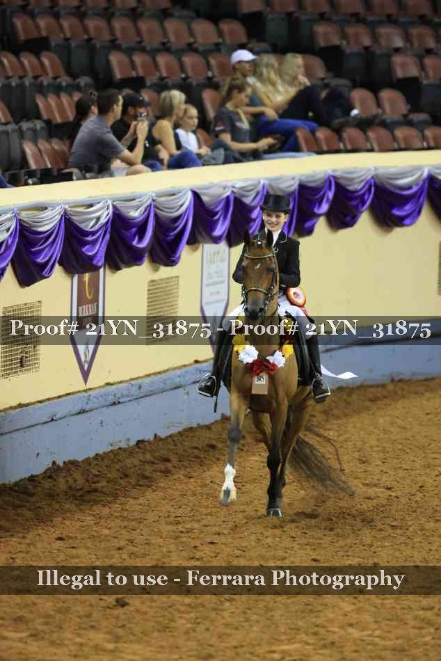 Proof 21YN_31875
