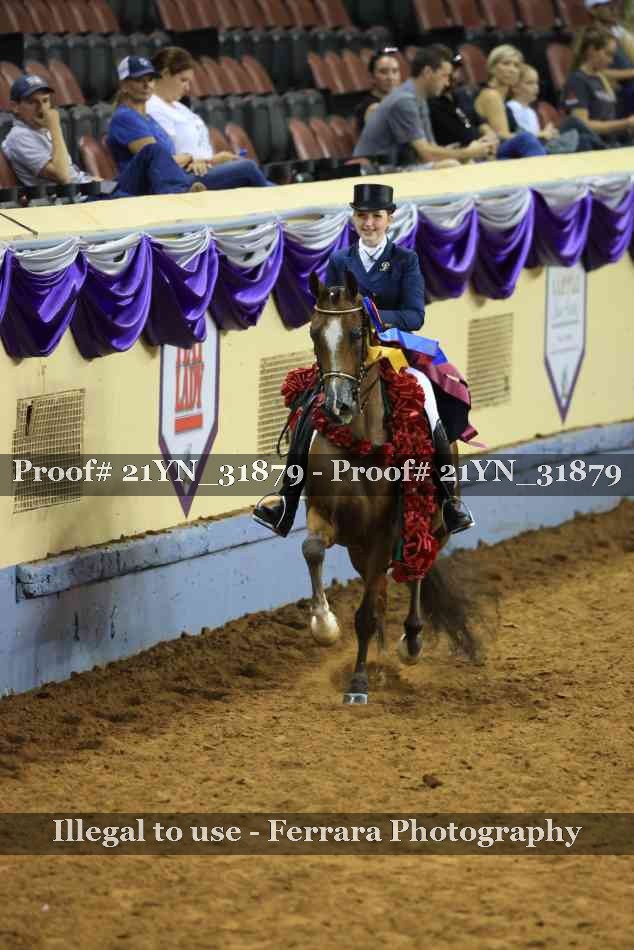 Proof 21YN_31879