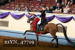 21YN_47719 proof