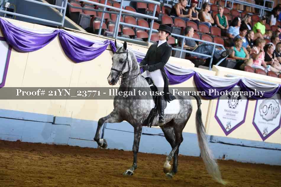 Proof 21YN_23771