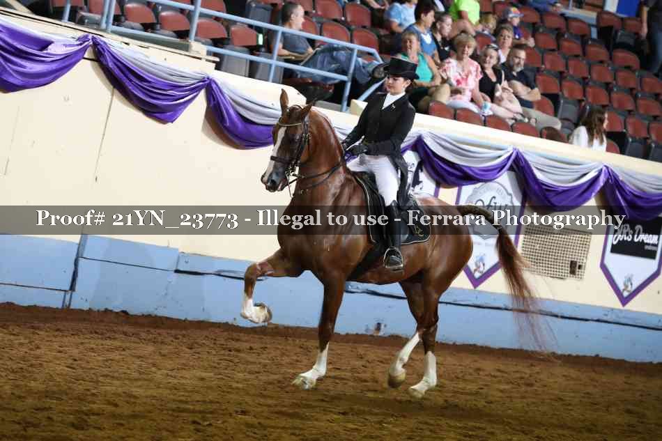 Proof 21YN_23773