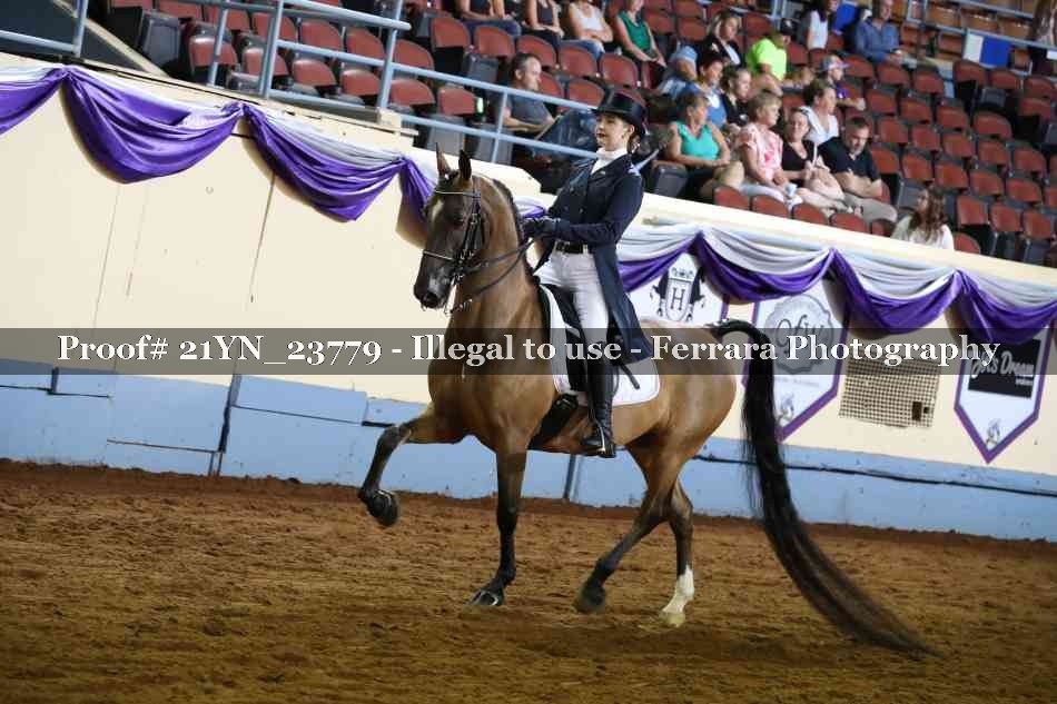 Proof 21YN_23779