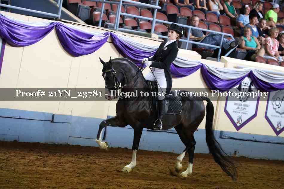 Proof 21YN_23781