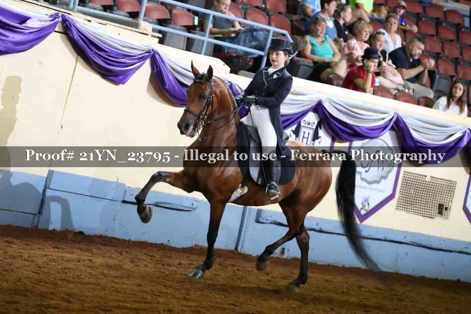 Proof 21YN_23795