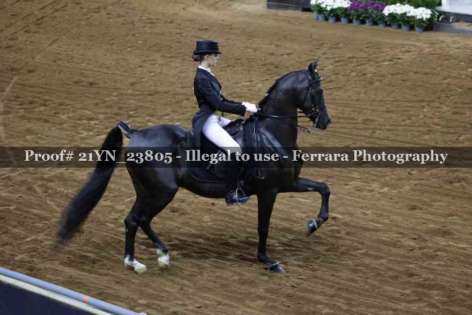 Proof 21YN_23805
