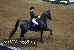 21YN_23805 proof