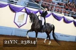 21YN_23814 proof