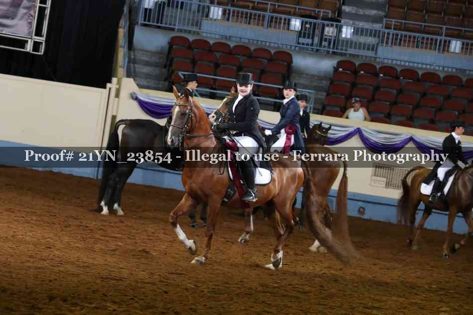 Proof 21YN_23854
