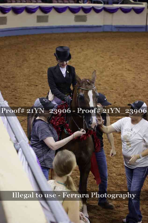 Proof 21YN_23906