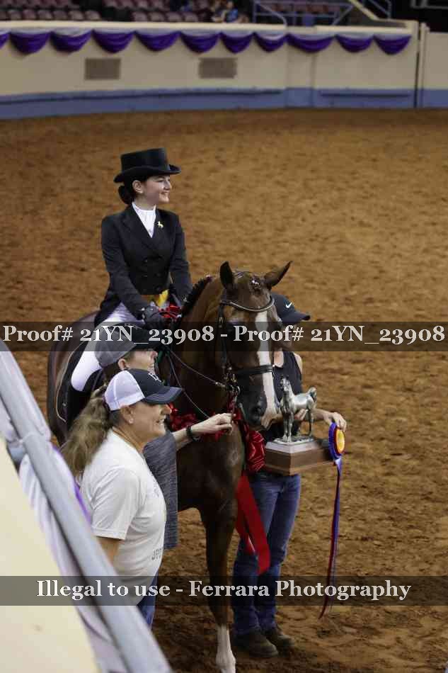 Proof 21YN_23908