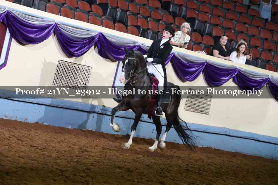 Proof 21YN_23912
