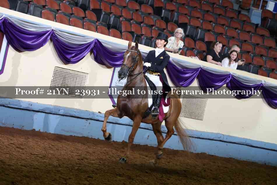 Proof 21YN_23931