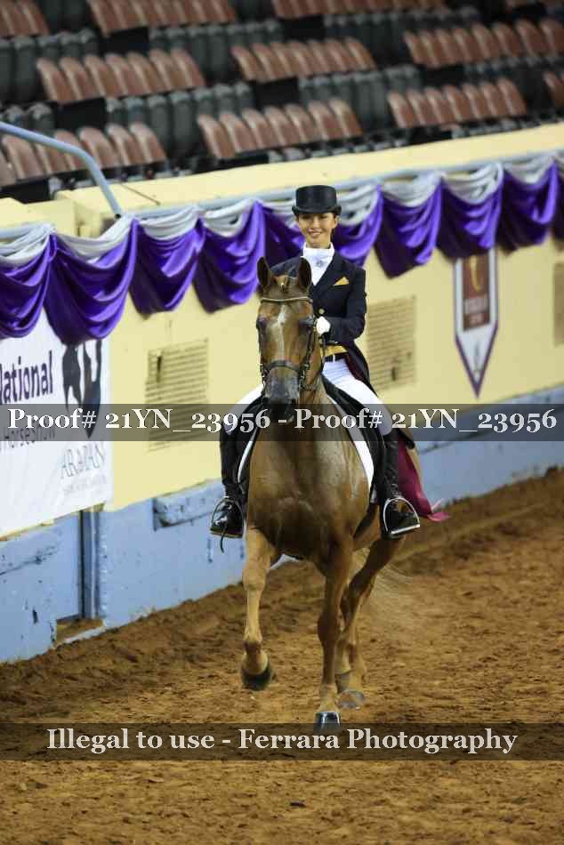 Proof 21YN_23956
