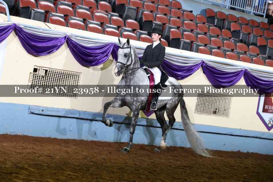 Proof 21YN_23958
