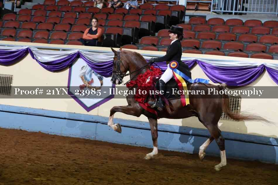 Proof 21YN_23985