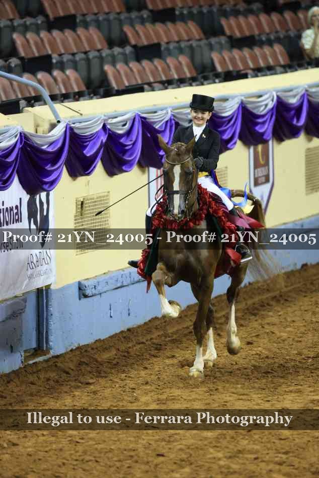 Proof 21YN_24005
