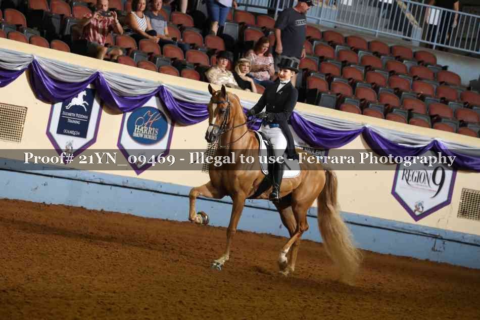Proof 21YN_09469