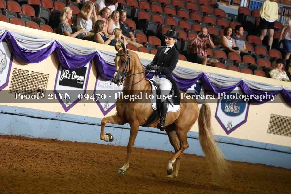 Proof 21YN_09470