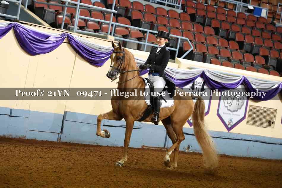 Proof 21YN_09471
