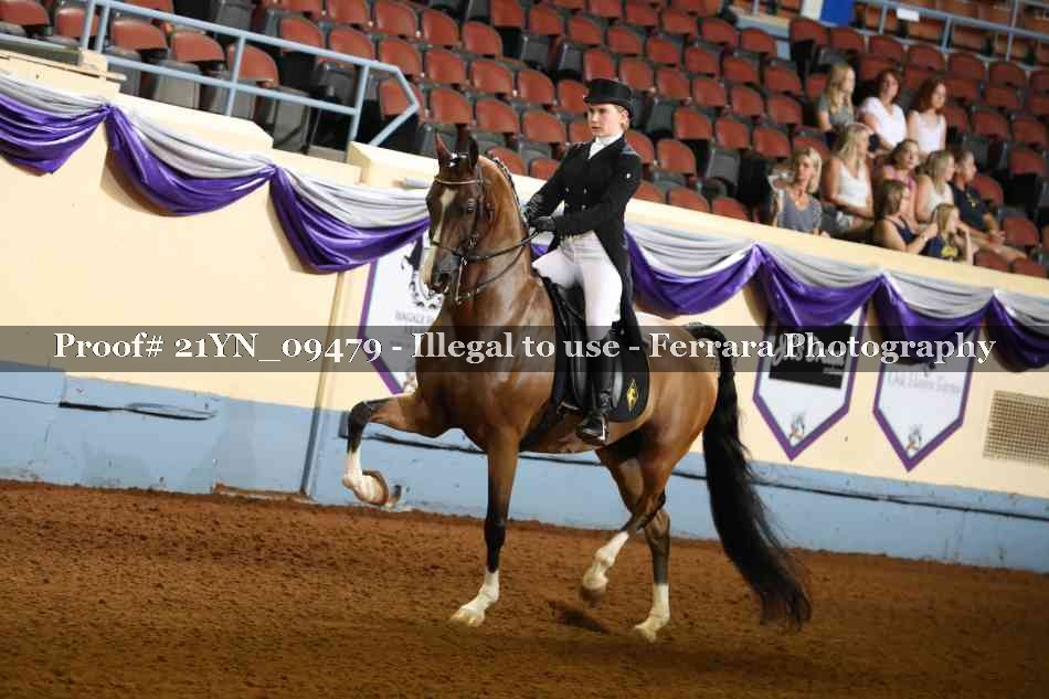 Proof 21YN_09479
