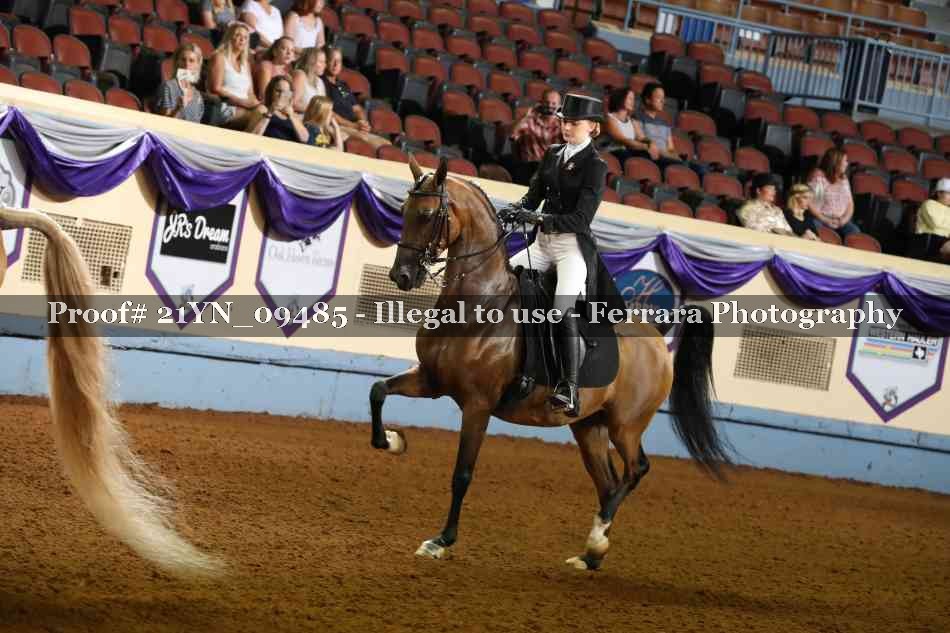 Proof 21YN_09485