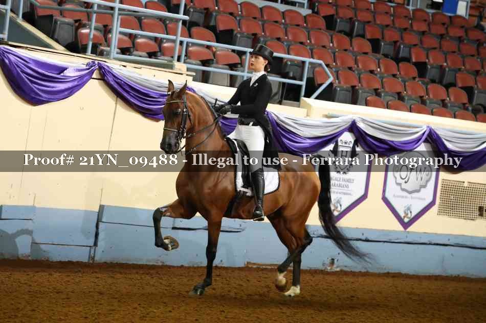 Proof 21YN_09488