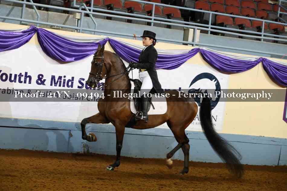 Proof 21YN_09494